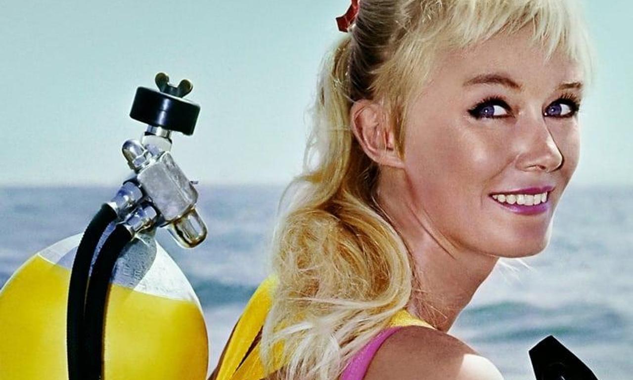 header image for Playing with Sharks