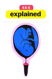 Sex, Explained