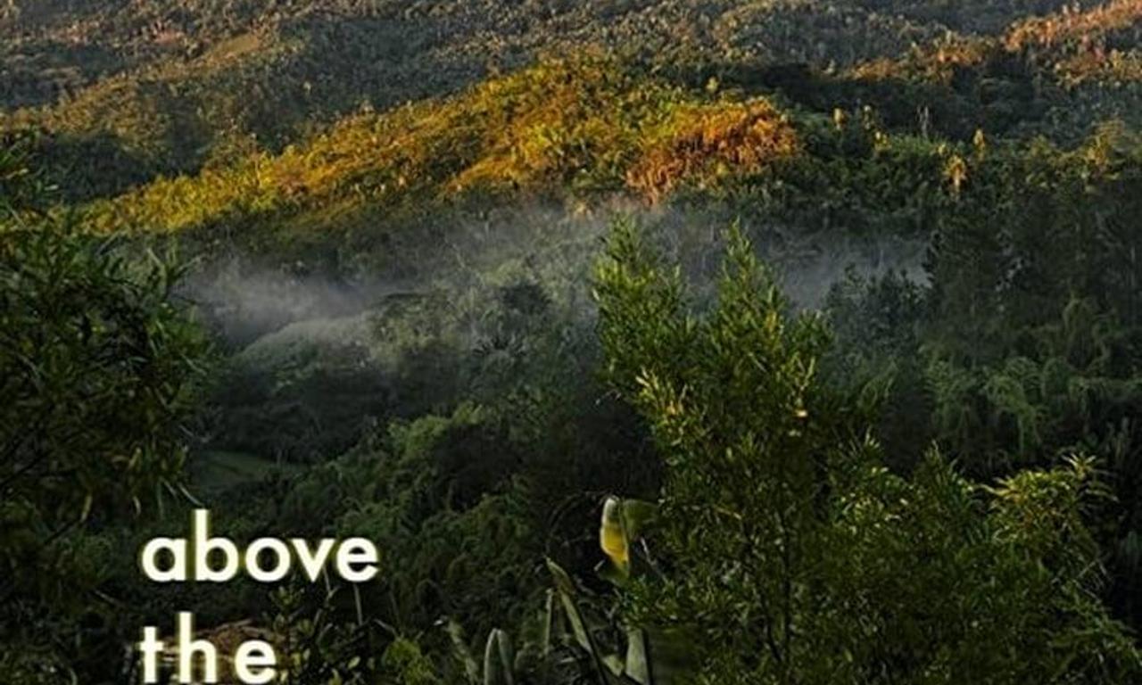 header image for Above the Big Island