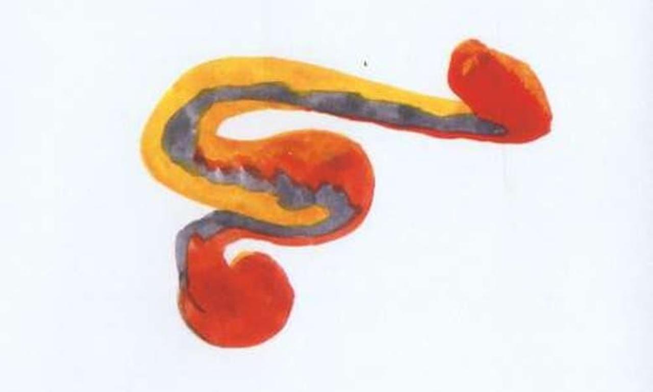 header image for Orgesticulanismus