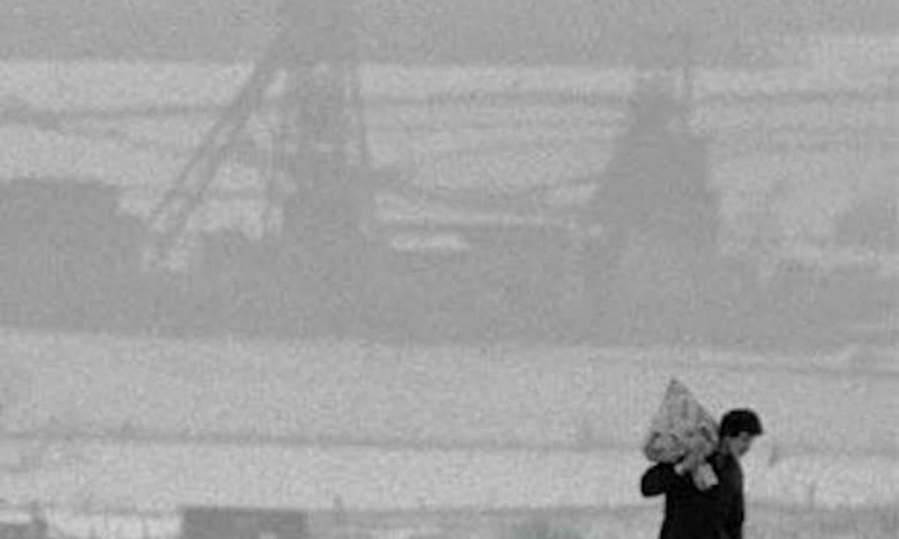 header image for The Price of Coal: Part 2 – Back to Reality