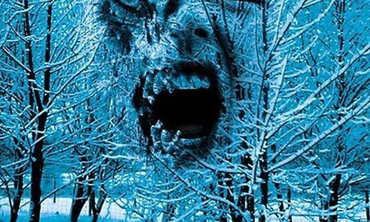 header image for Decoys