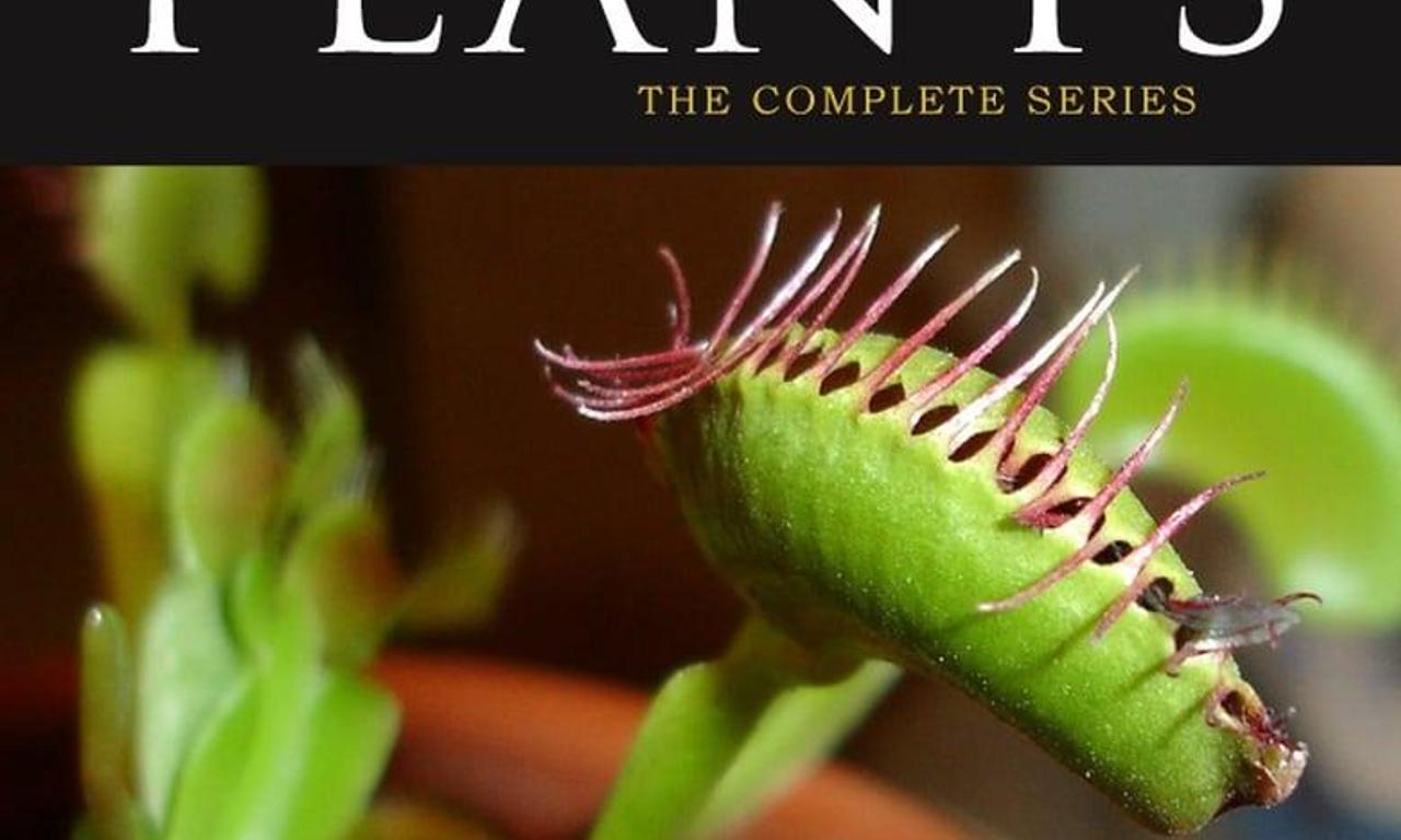 header image for The Private Life of Plants