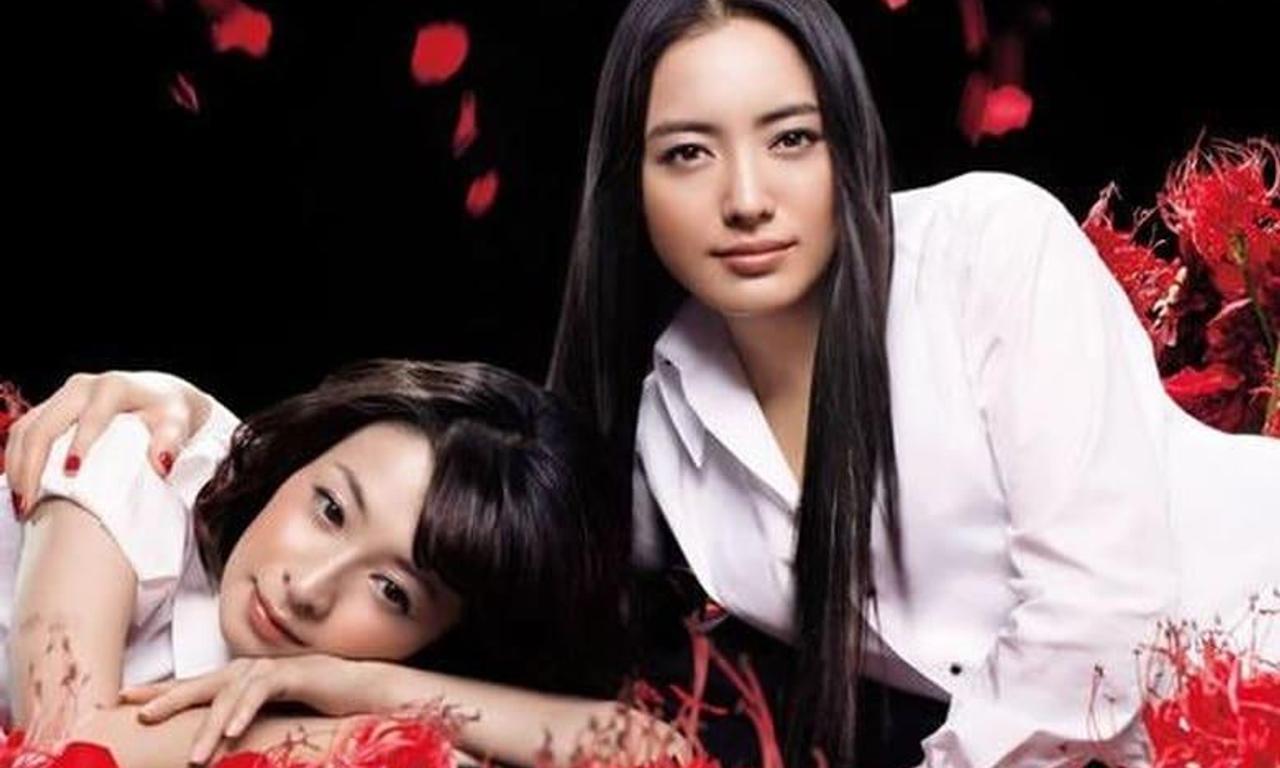 header image for The Beautiful Neighbor