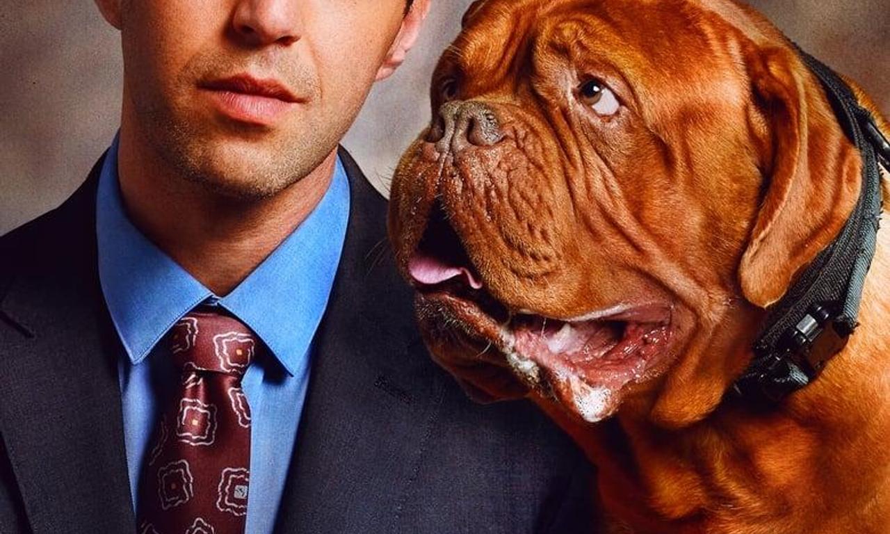 header image for Turner & Hooch