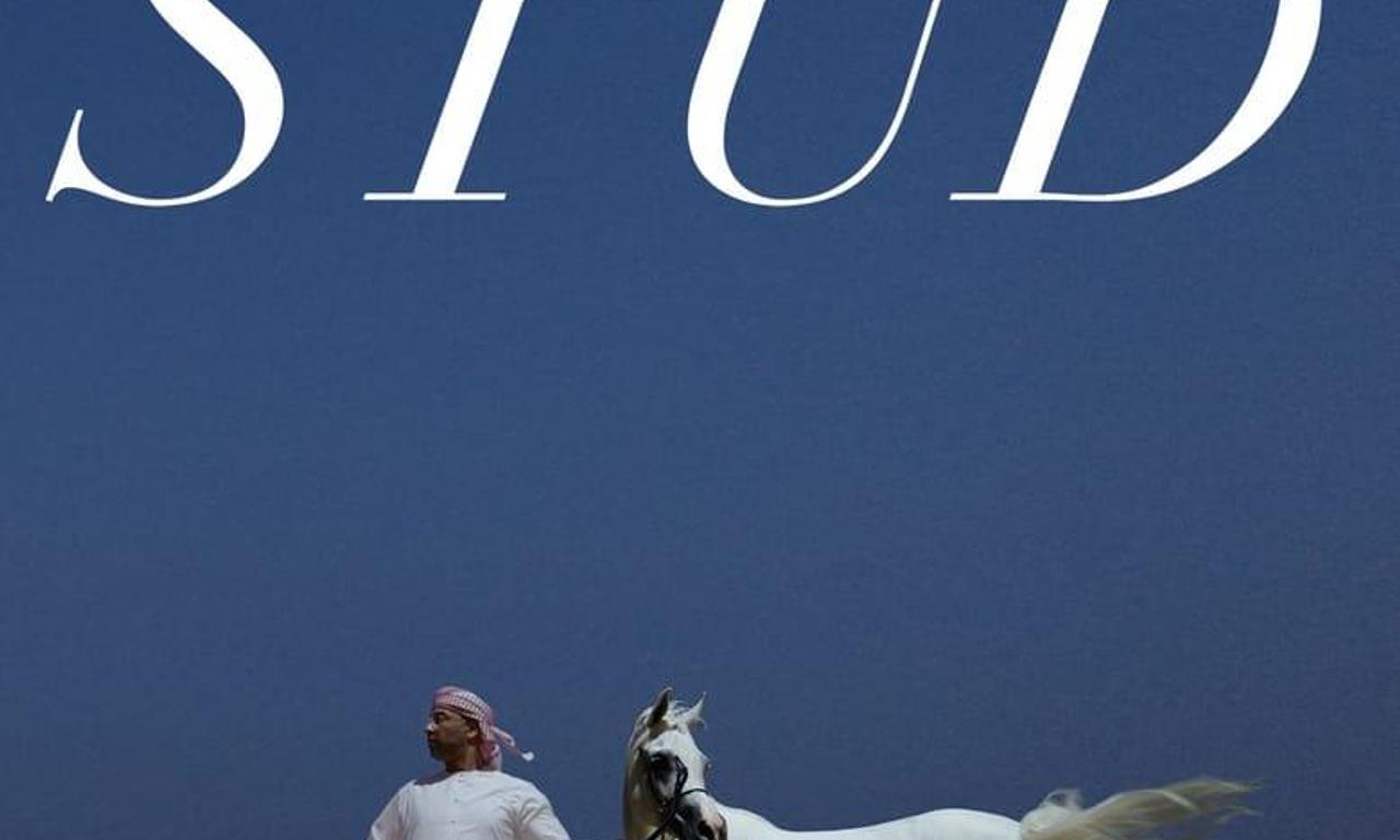 header image for Ajman Stud