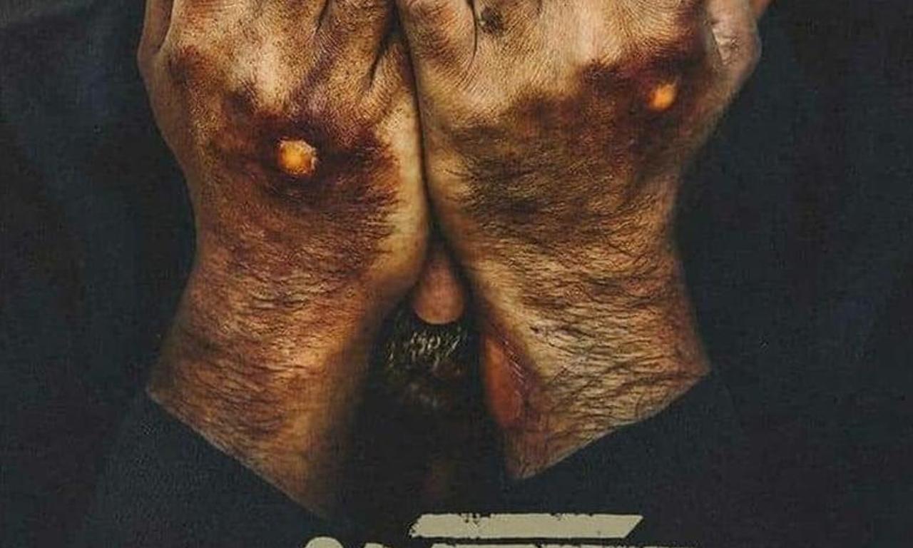 header image for Walnut Tree