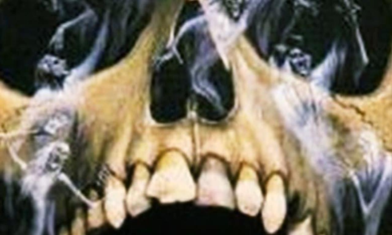 header image for The Screaming Skull