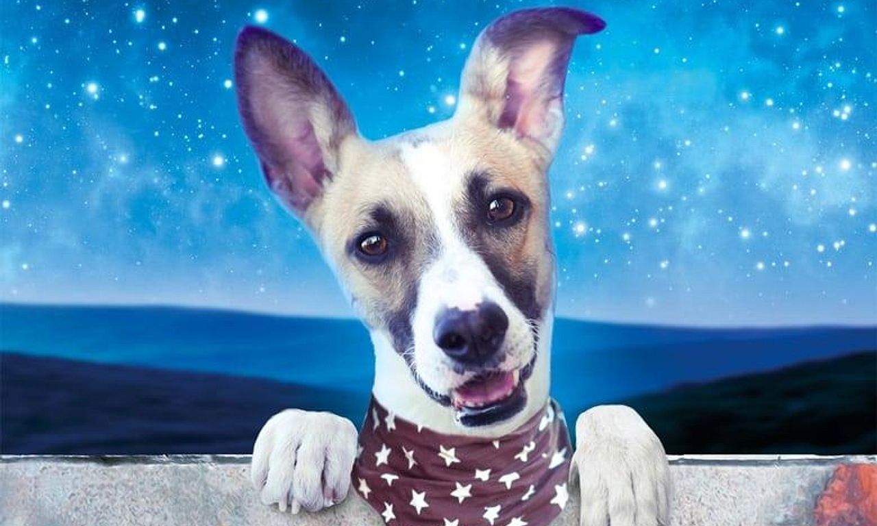 header image for Gump – pes, který naučil lidi žít