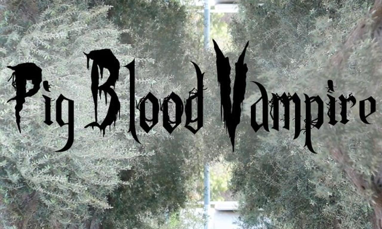 header image for Pig Blood Vampire
