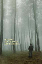 Outside the Oranges Are Blooming