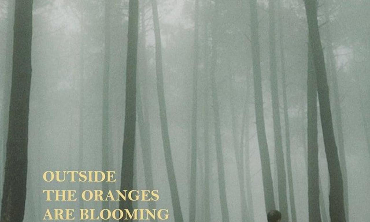 header image for Outside the Oranges Are Blooming