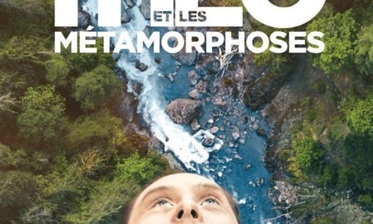 header image for Theo and the Metamorphosis