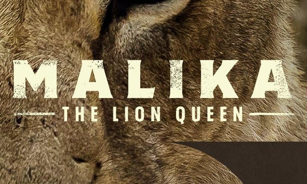 header image for Malika the Lion Queen
