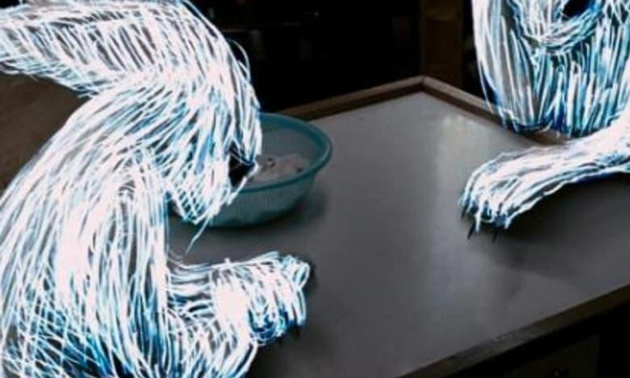 header image for Invisible Boy