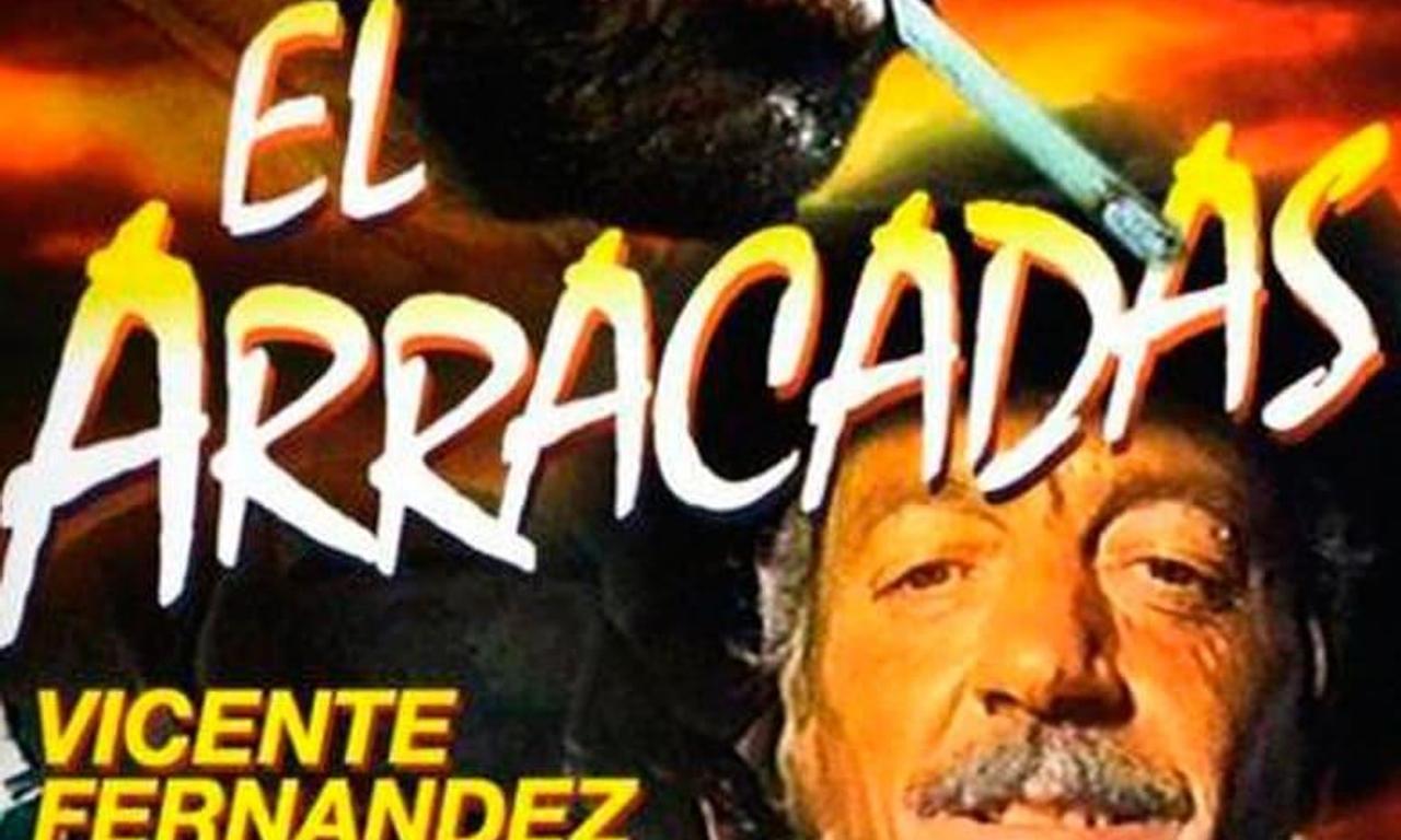 header image for El Arracadas