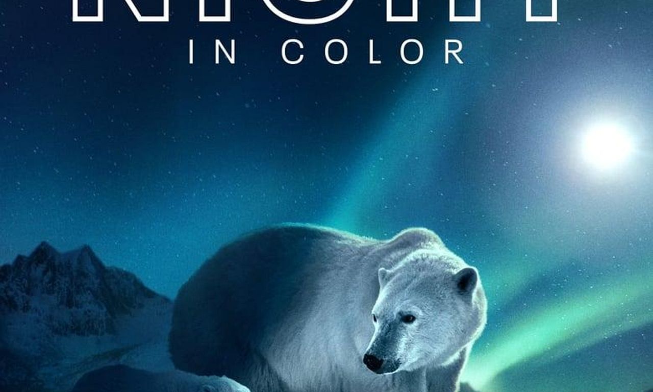 header image for Earth at Night in Color