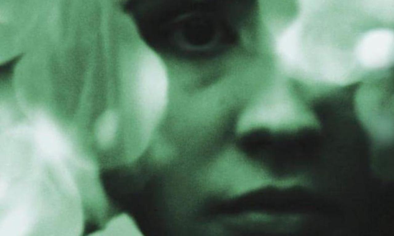 header image for Mata Atlântica