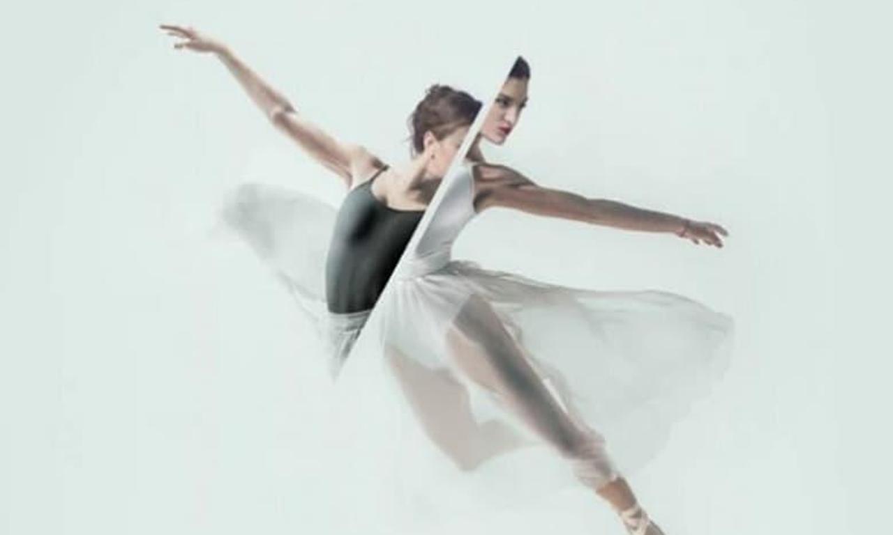 header image for Joy Womack: The White Swan