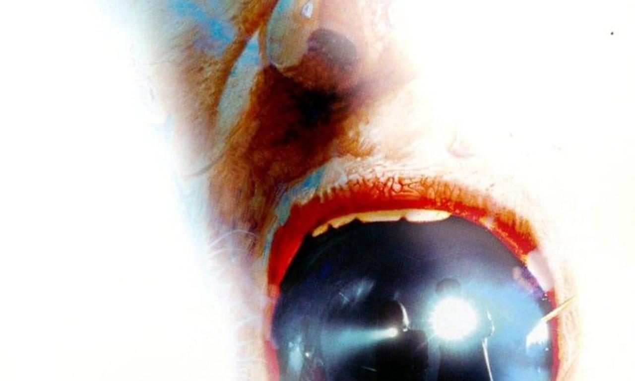 header image for Project Viper