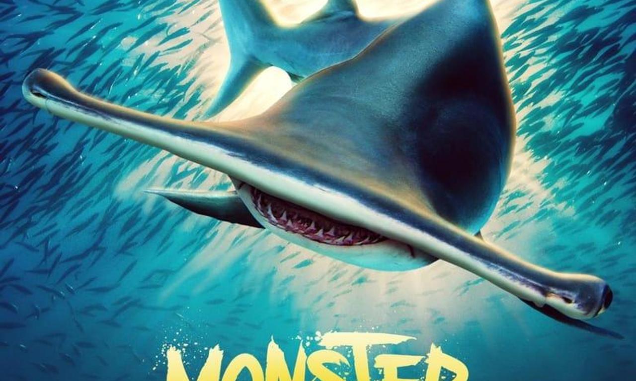 header image for Monster Hammerheads