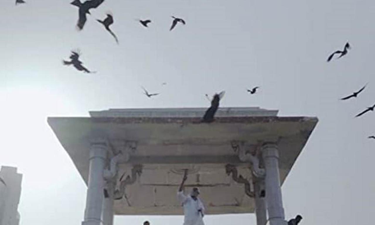 header image for All That Breathes