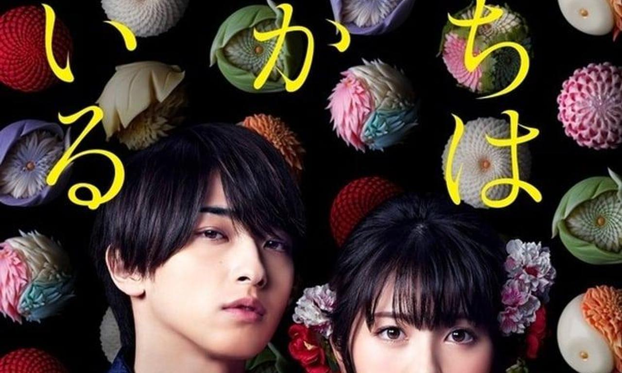 header image for Cursed in Love