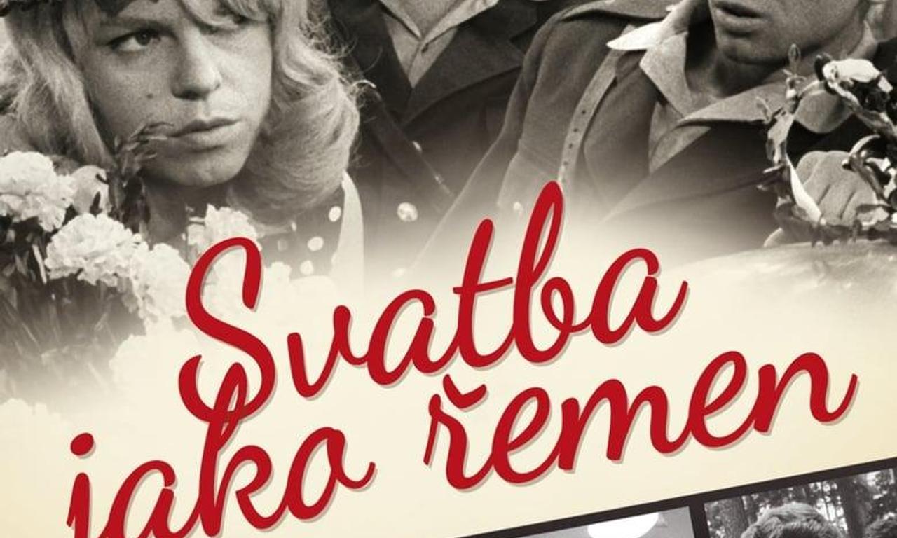 header image for Wedding Under Supervision