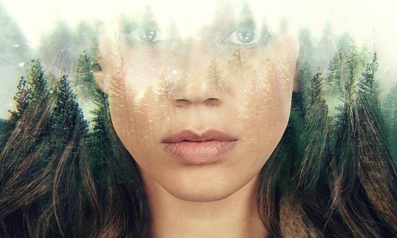 header image for The Stranger