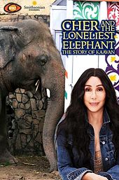 Cher & the Loneliest Elephant