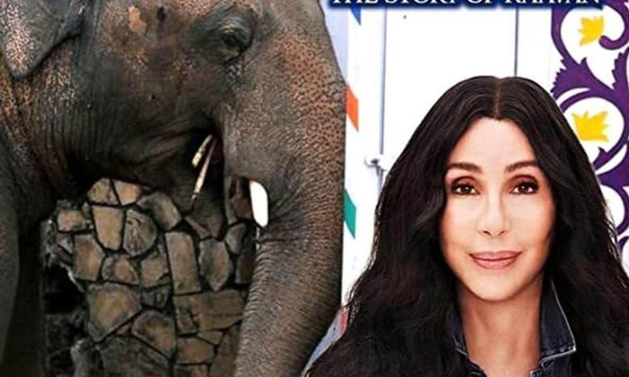 header image for Cher & the Loneliest Elephant
