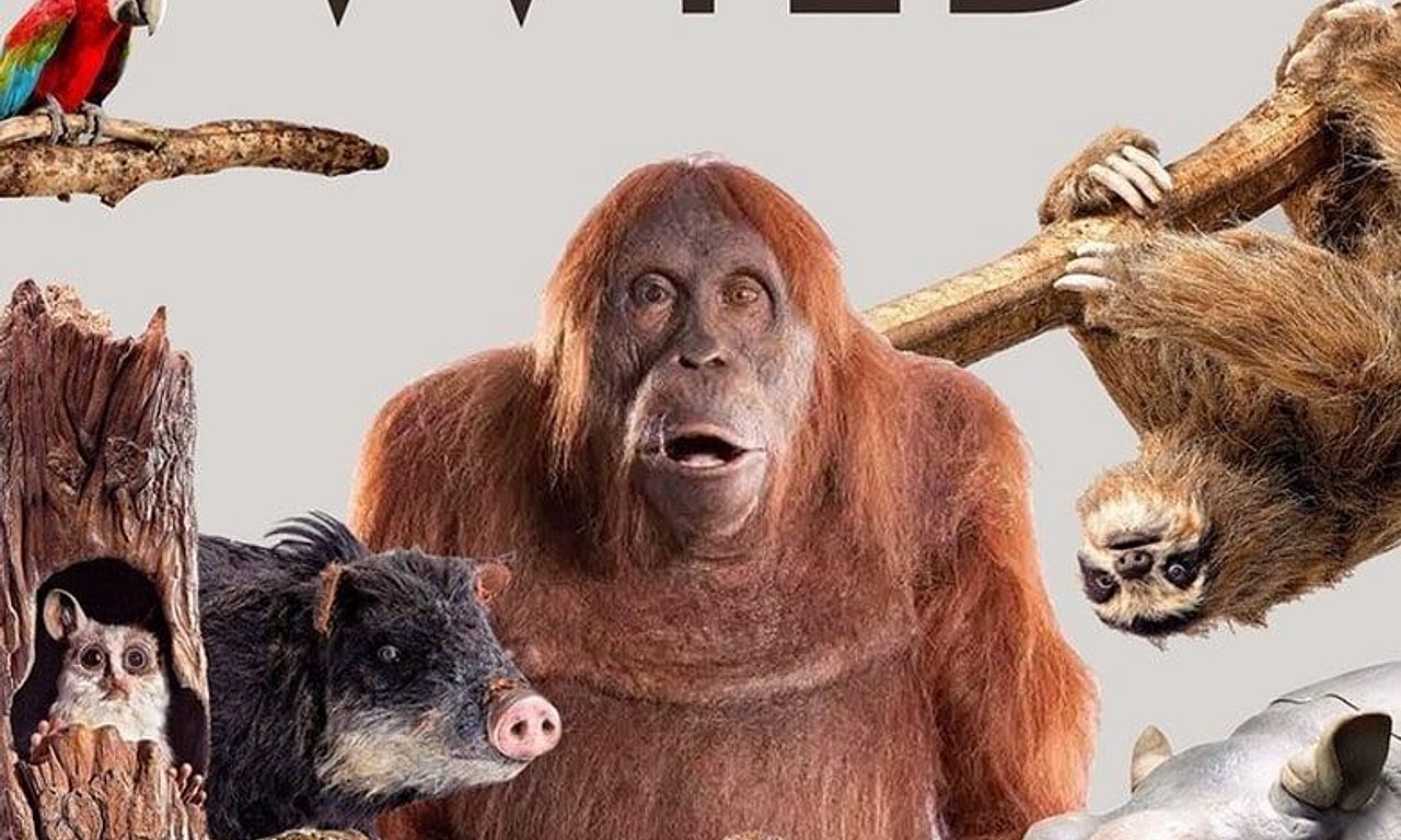 header image for Spy in the Wild