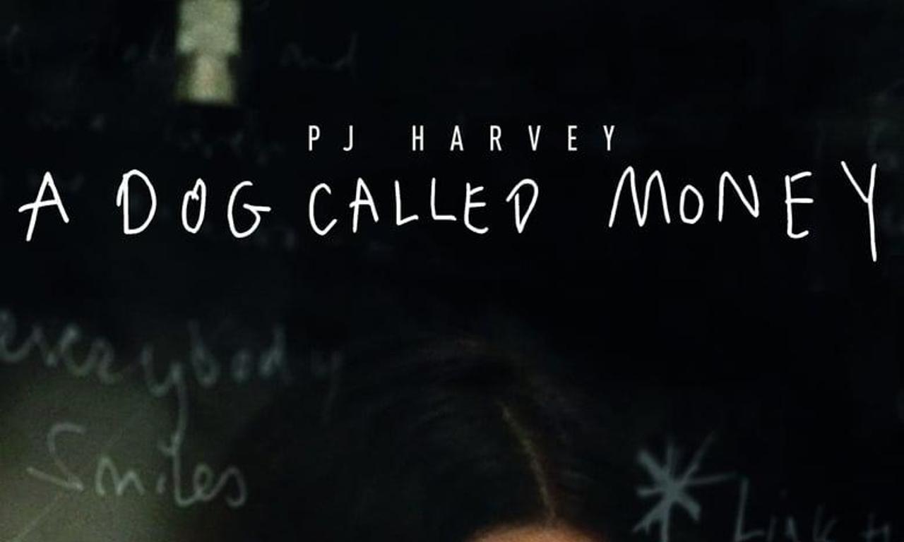 header image for A Dog Called Money