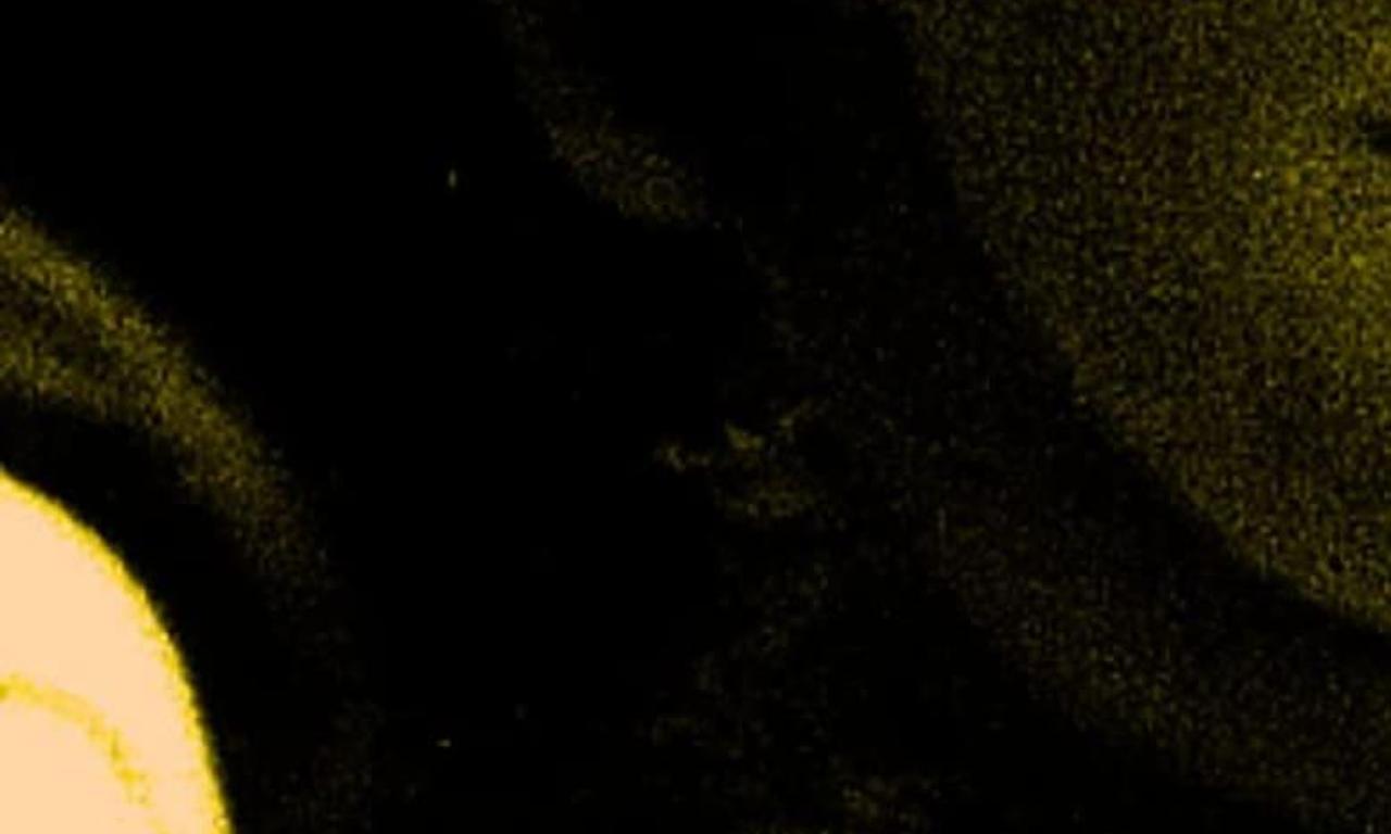 header image for Balifilm