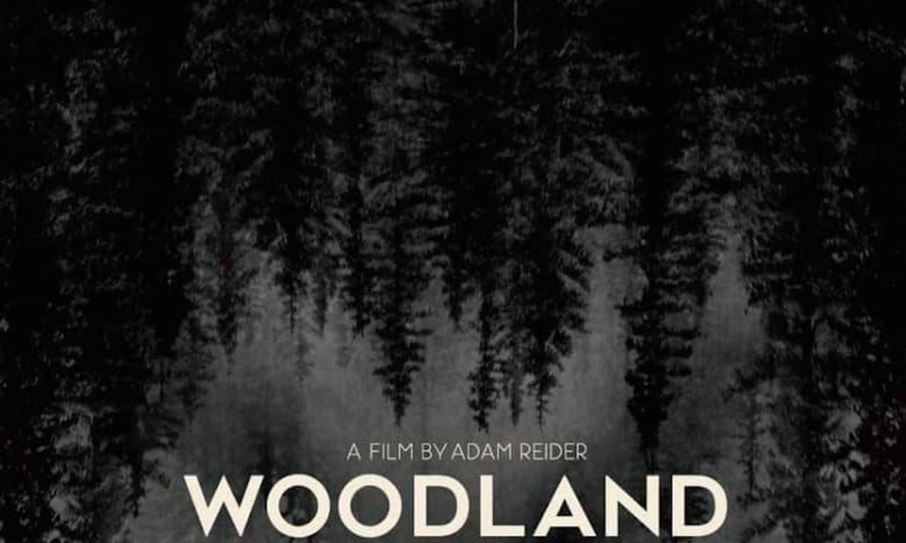 header image for Woodland Grey