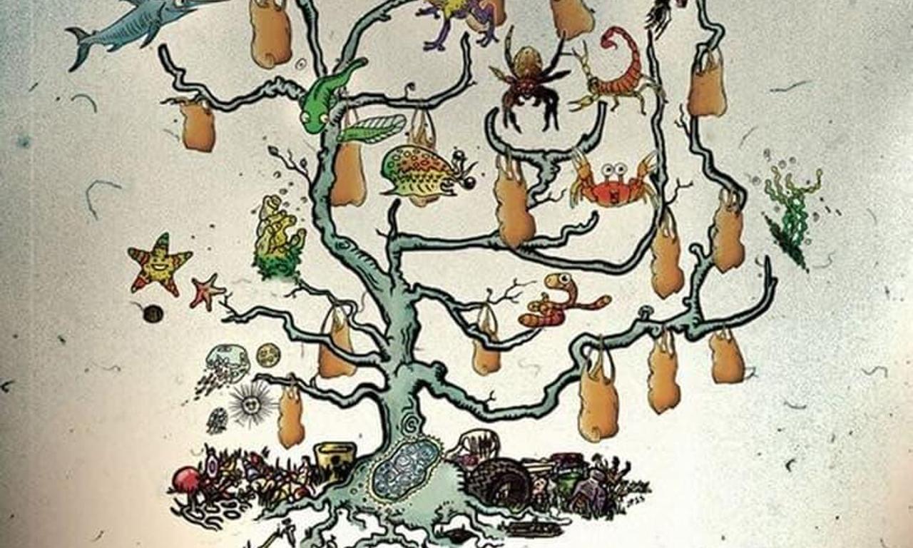 Plastic Kingdom Where to Watch and Stream Online Entertainment.ie