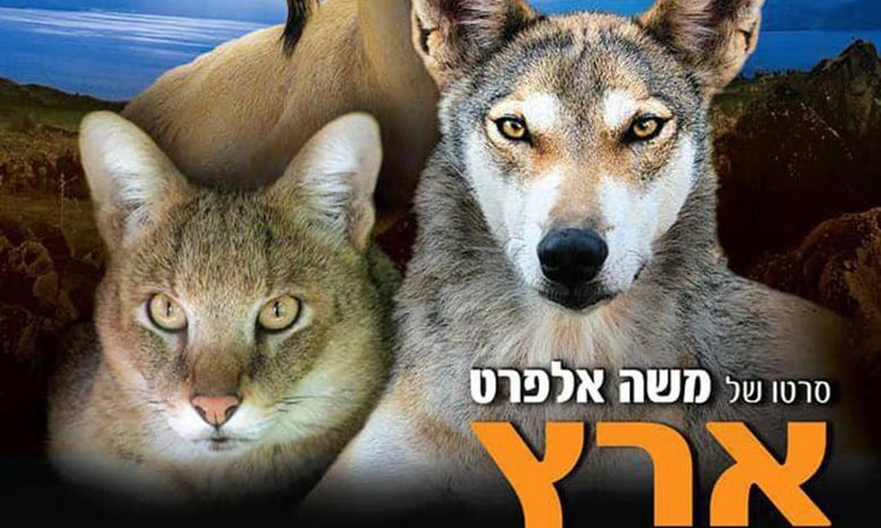 header image for Eretz Bereishit