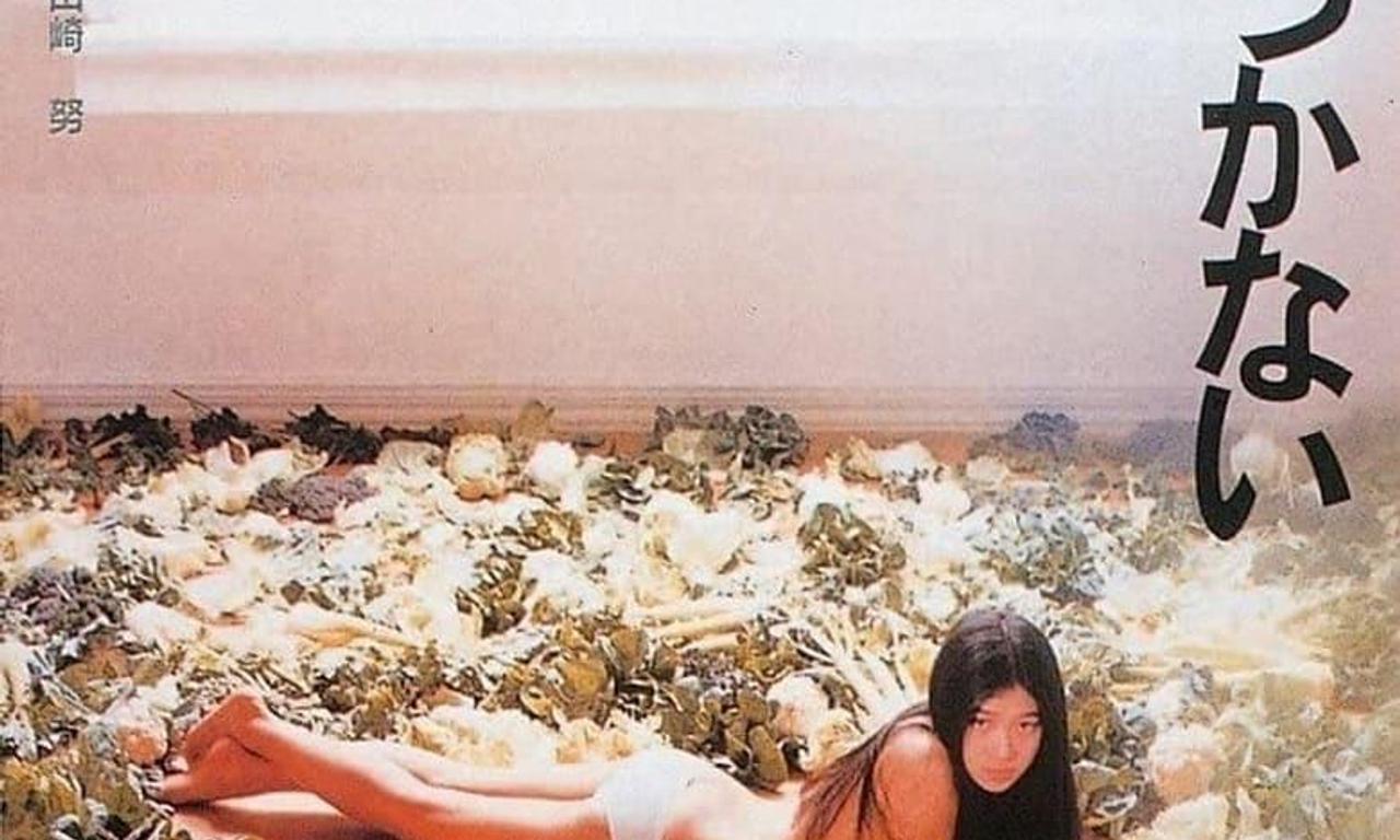 header image for The Unspoiled Diamond