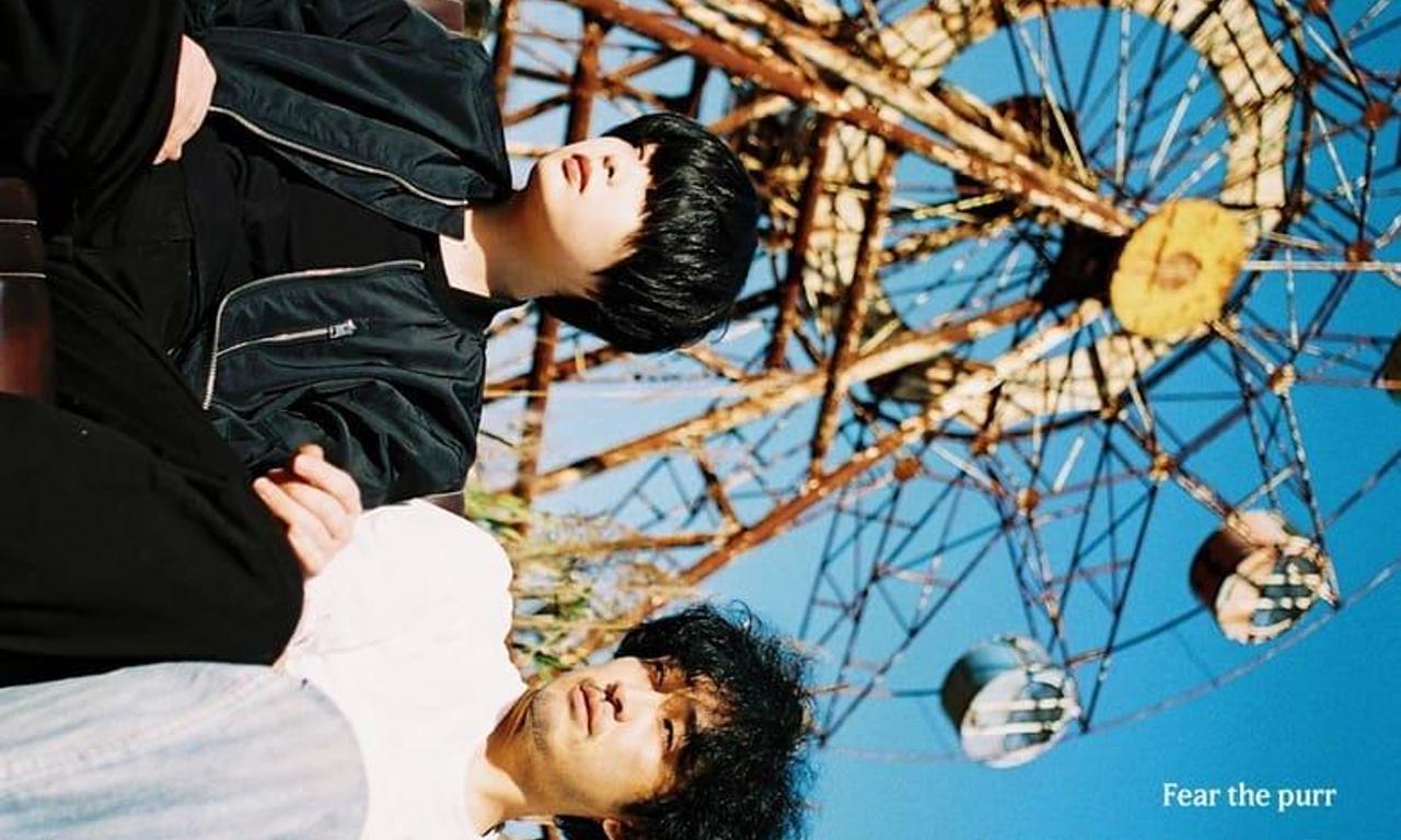 header image for Mad Cats