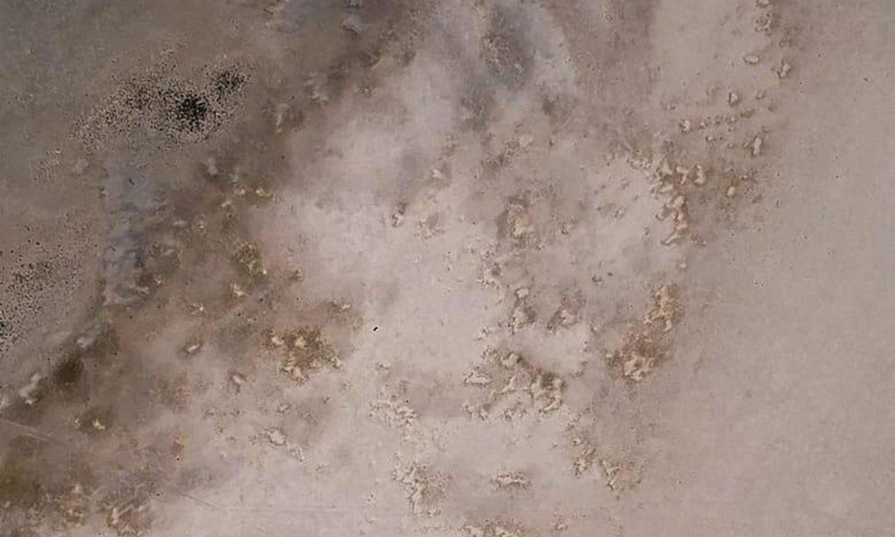 header image for The Plains