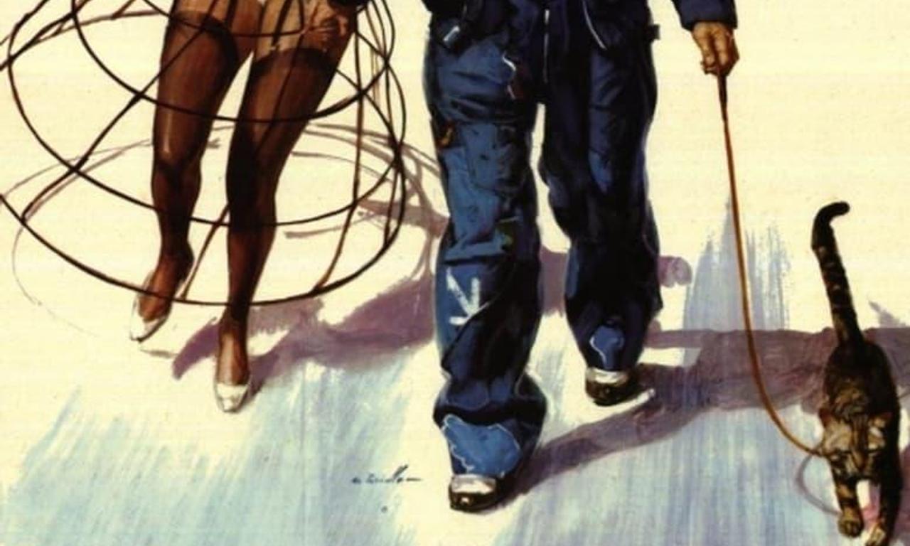 header image for Eye of the Cat