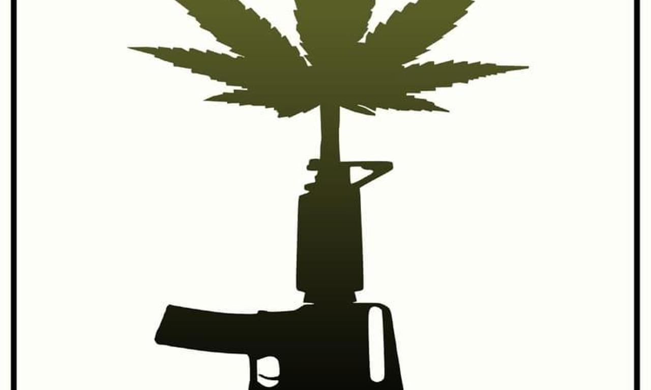 header image for The Pharm