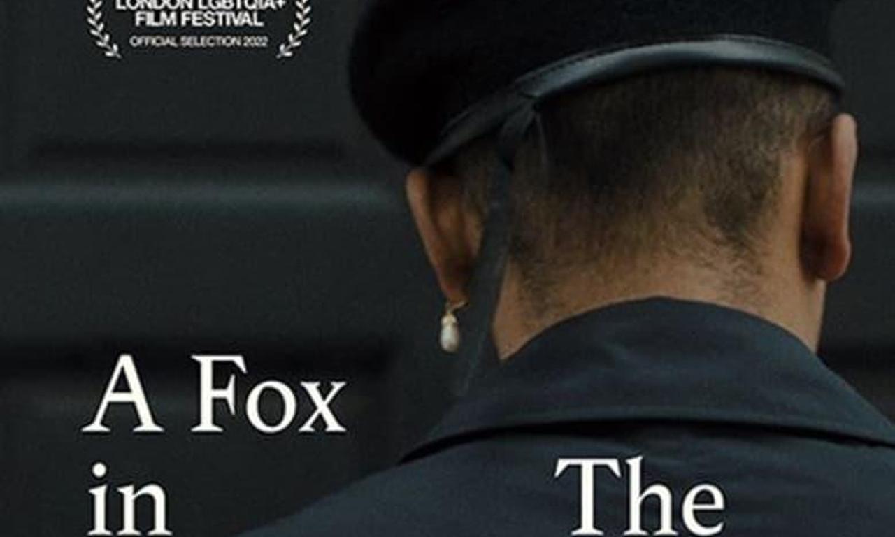 header image for A Fox in the Night