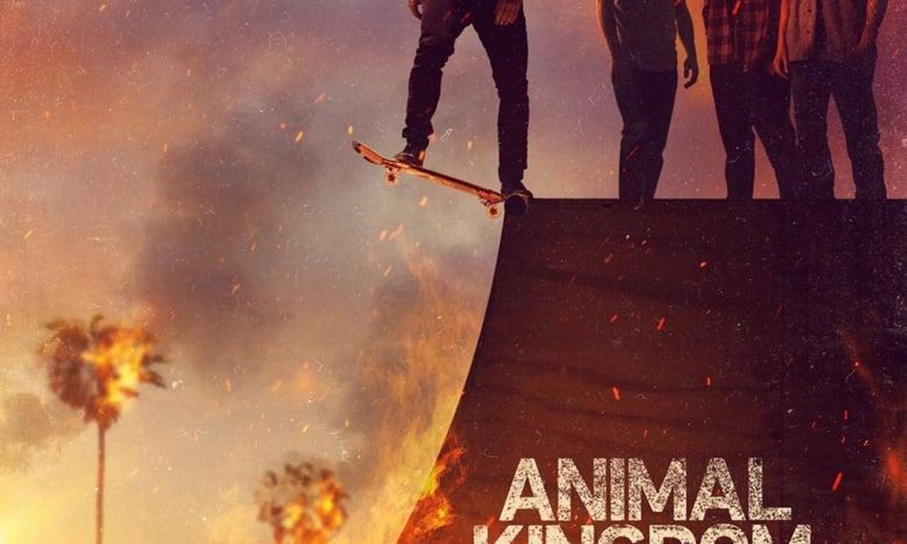 Animal Kingdom - Where to Watch and Stream Online – Entertainment.ie