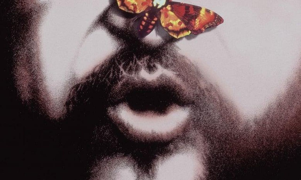 header image for The Silence of the Hams