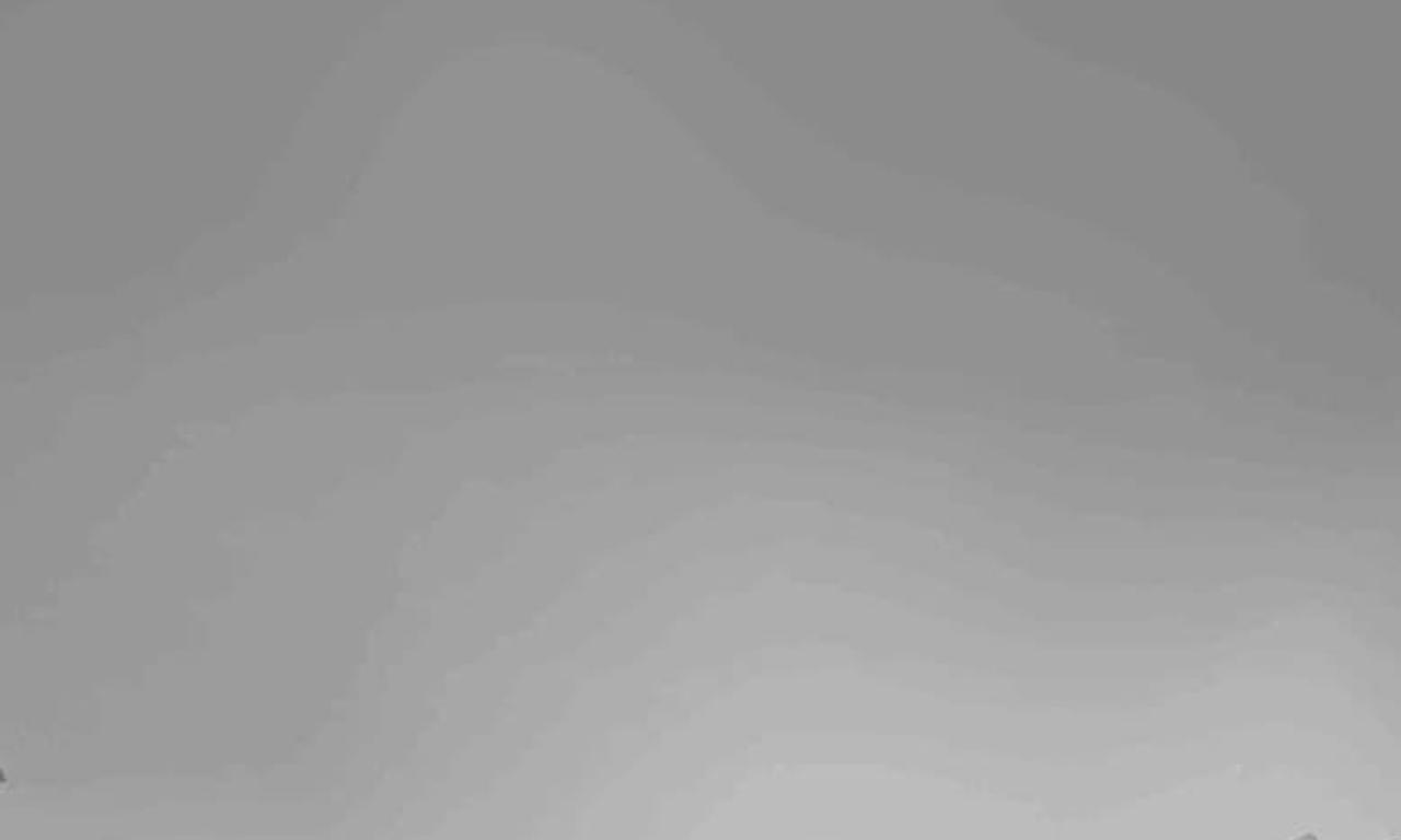 header image for A Bird Flew In