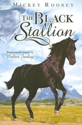 The Adventures of the Black Stallion