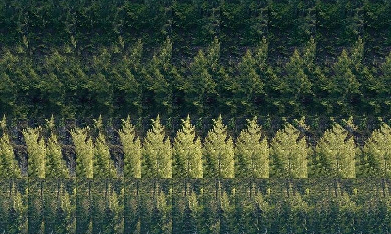 header image for Long Live Hunting!