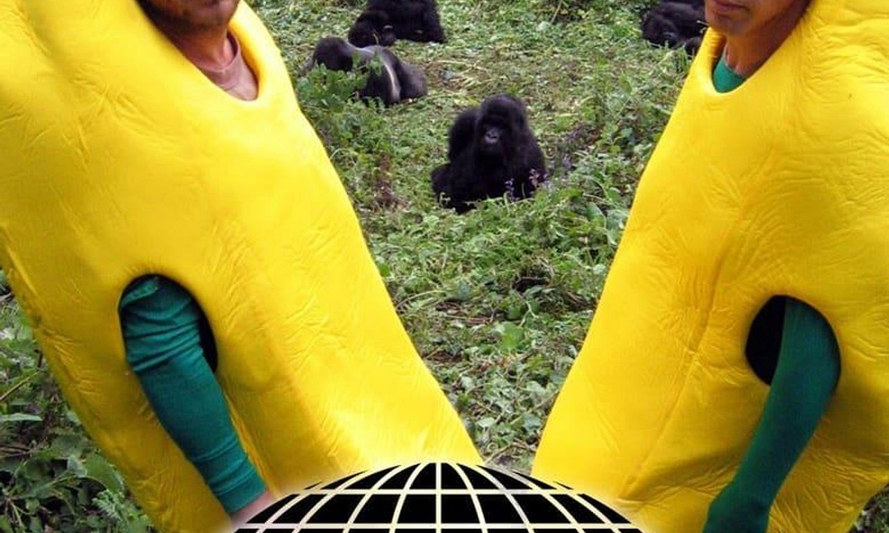 header image for Wildboyz