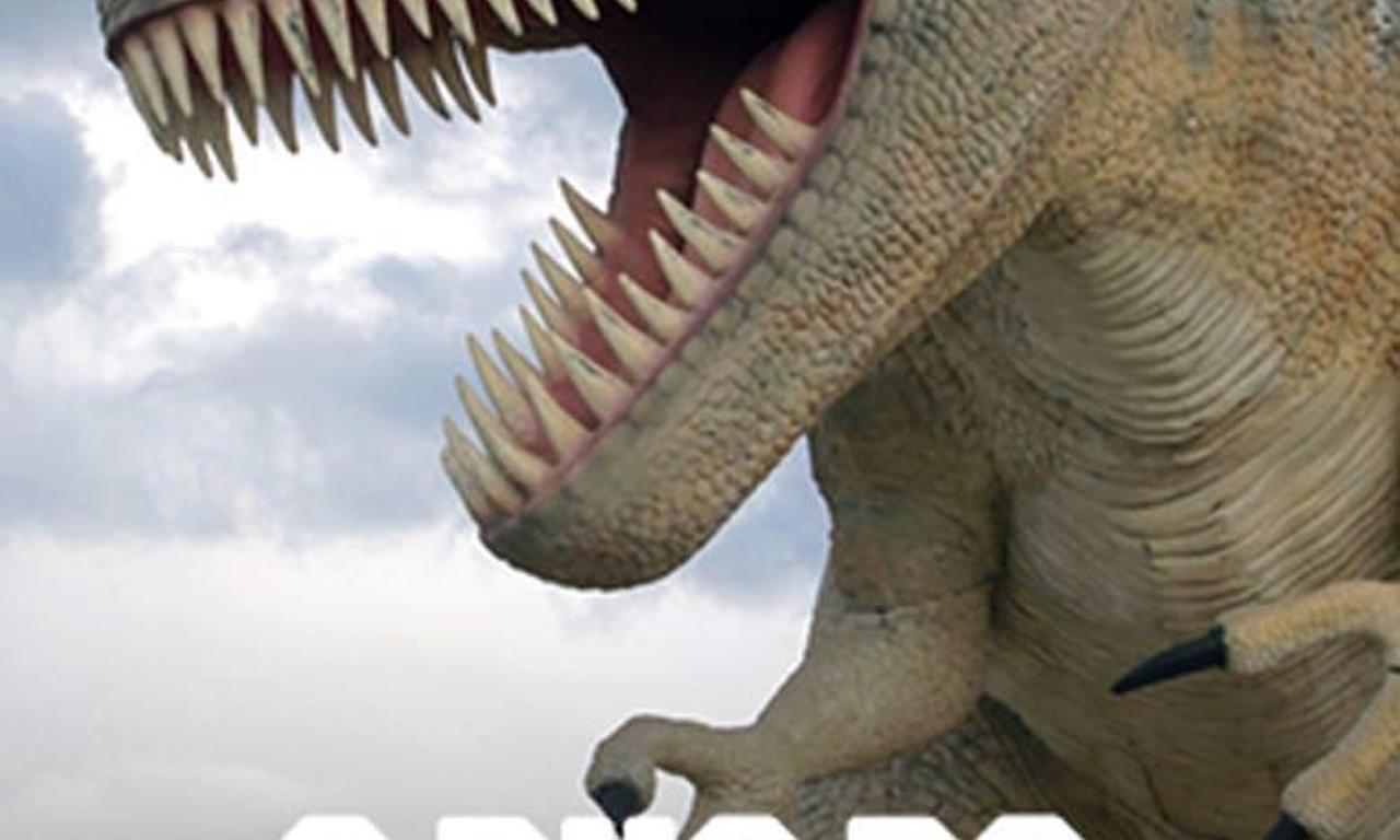 header image for A Road as a Street